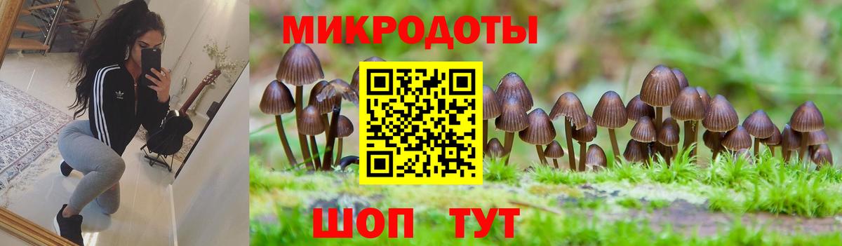 как найти наркотики  Галлюциногенные грибы MAGIC MUSHROOMS  Вход с VPN  Сызрань 